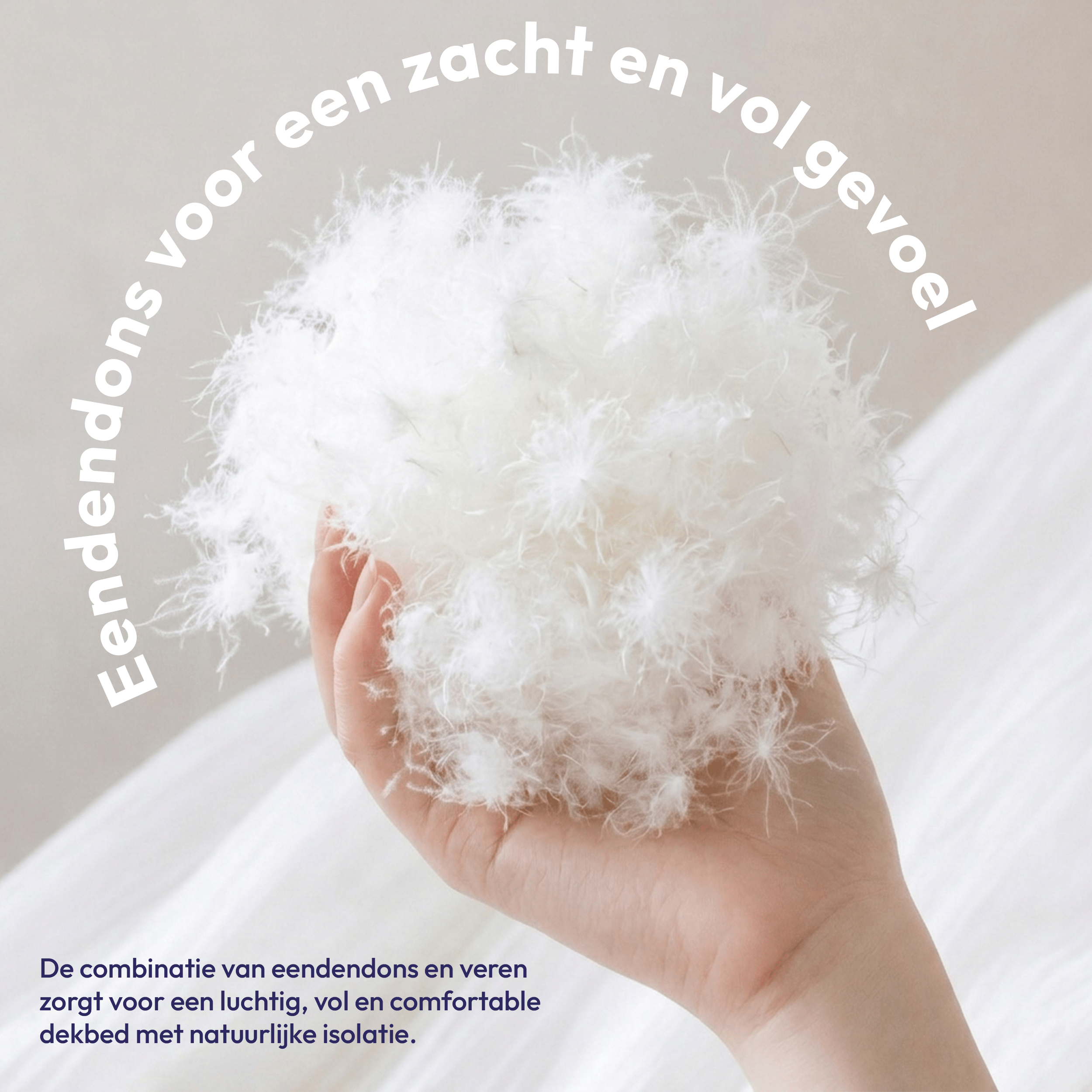 Comfeur Winterdecke mit Entendaunen – Daunen & Federn