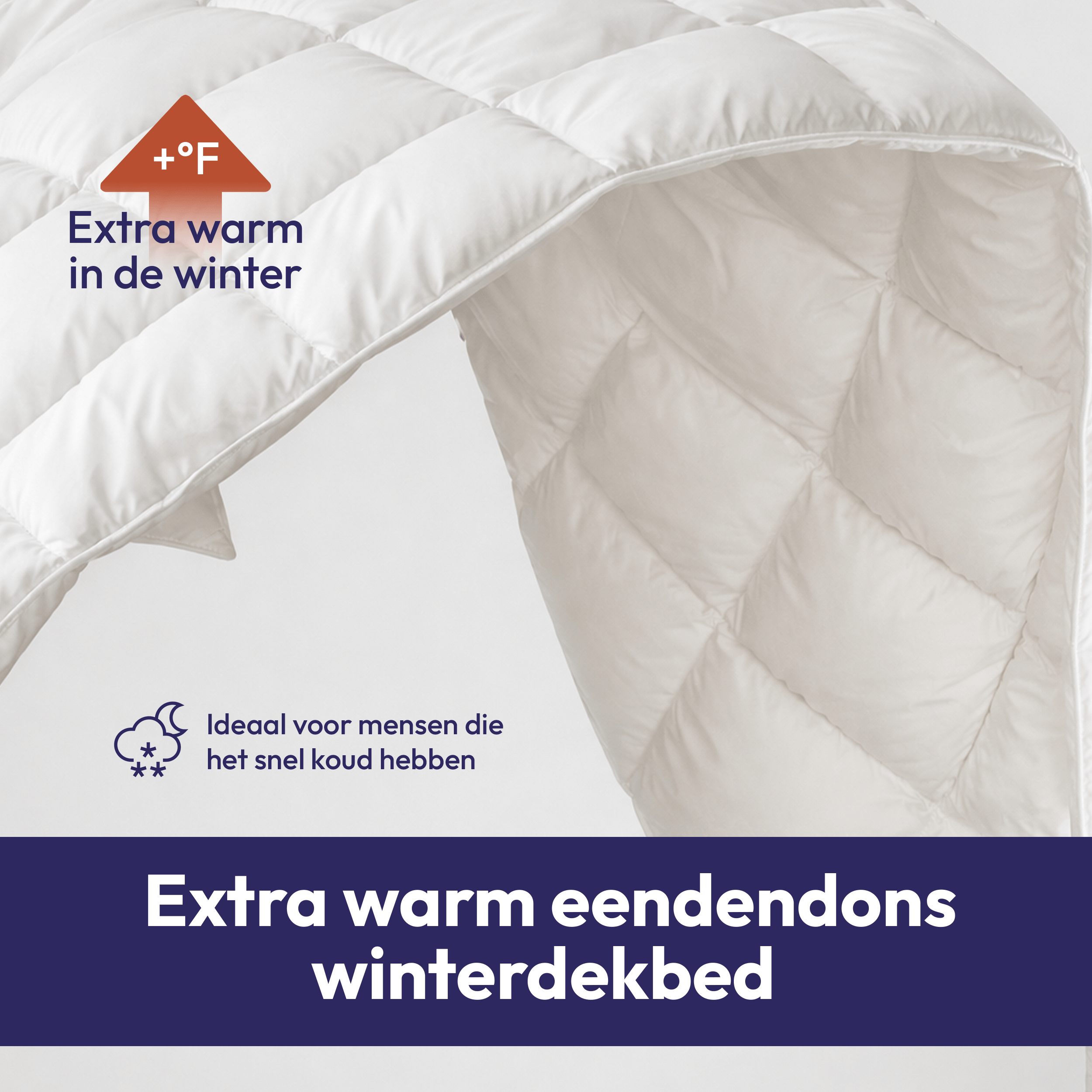 Comfeur Winterdecke mit Entendaunen – Daunen & Federn